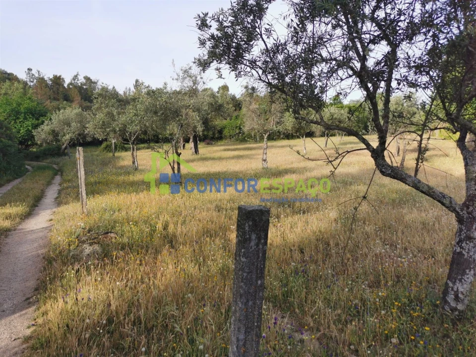 Terreno para Venda em Aldeia de Santa Margarida Foto 31