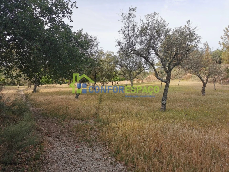 Terreno para Venda em Aldeia de Santa Margarida Foto 7