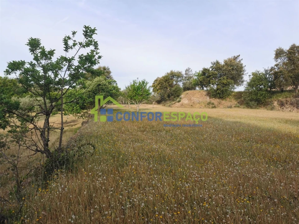 Terreno para Venda em Aldeia de Santa Margarida Foto 16