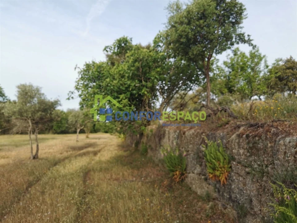 Terreno para Venda em Aldeia de Santa Margarida Foto 19