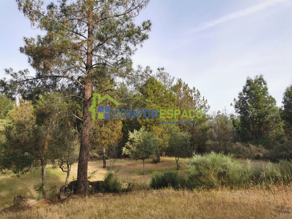 Terreno para Venda em Aldeia de Santa Margarida Foto 5
