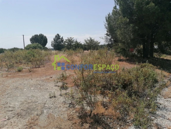 Terreno para Venda em Castelo Branco Foto 2