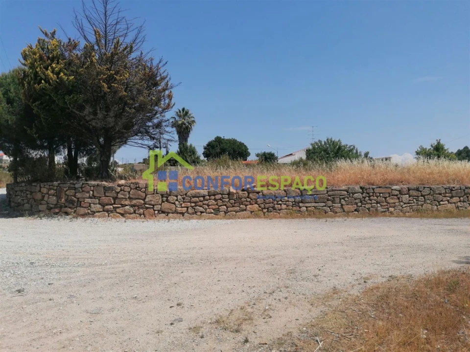 Terreno para Venda em Castelo Branco Foto 4