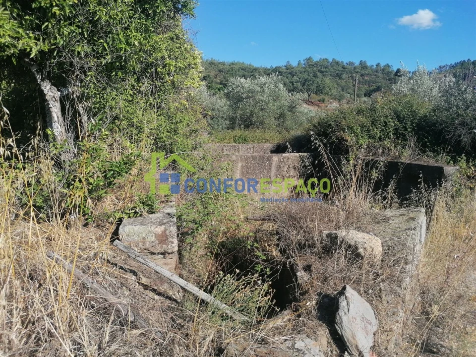 Quinta T0 para Venda em Salgueiro do Campo Foto 14