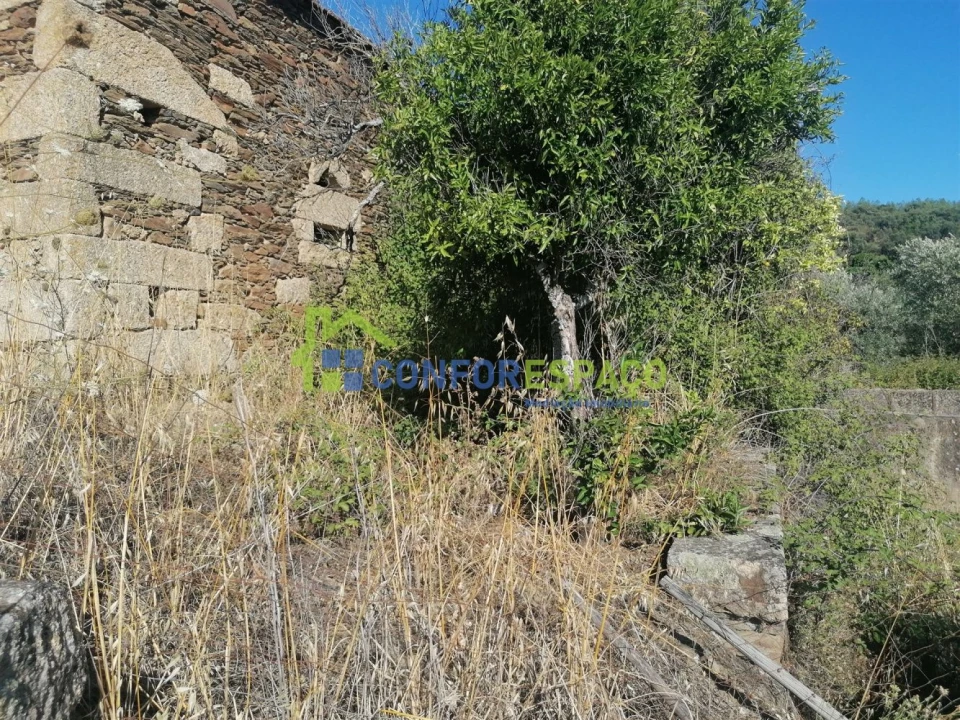 Quinta T0 para Venda em Salgueiro do Campo Foto 15