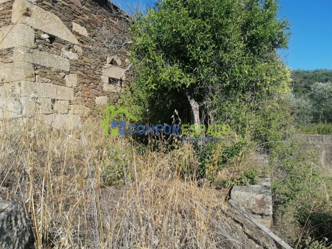 Quinta T0 para Venda em Salgueiro do Campo Foto 15