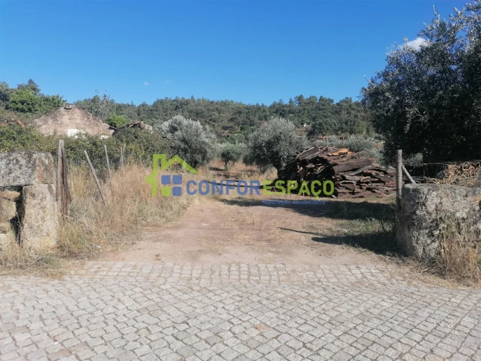 Quinta T0 para Venda em Salgueiro do Campo Foto 13