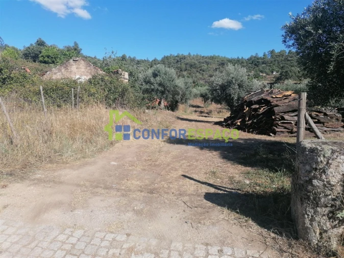 Quinta T0 para Venda em Salgueiro do Campo Foto 2