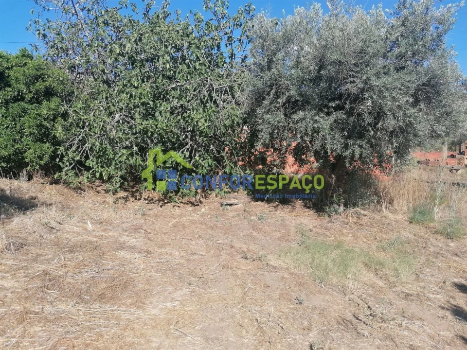 Quinta T0 para Venda em Salgueiro do Campo Foto 8