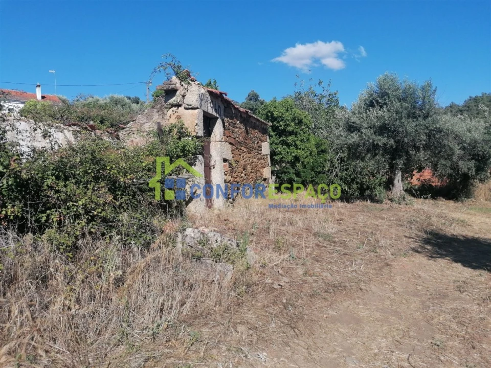 Quinta T0 para Venda em Salgueiro do Campo Foto 5