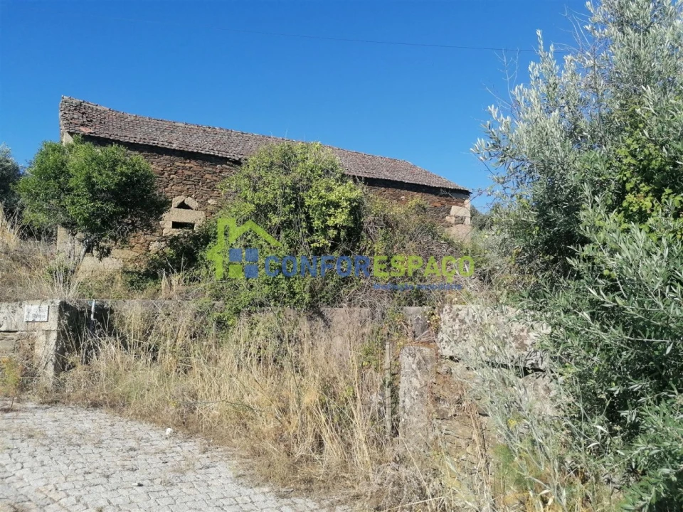 Quinta T0 para Venda em Salgueiro do Campo Foto 16