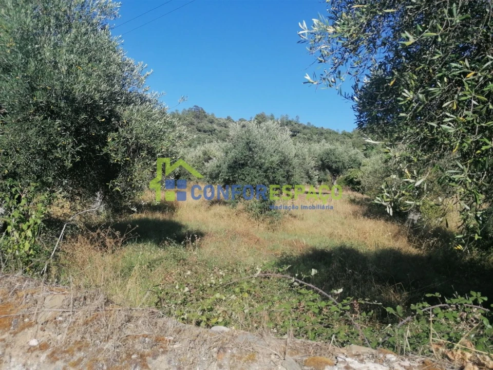 Quinta T0 para Venda em Salgueiro do Campo Foto 17