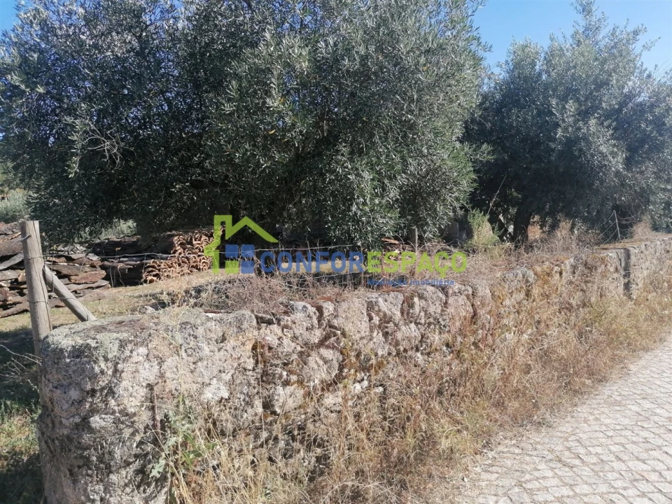 Quinta T0 para Venda em Salgueiro do Campo Foto 3