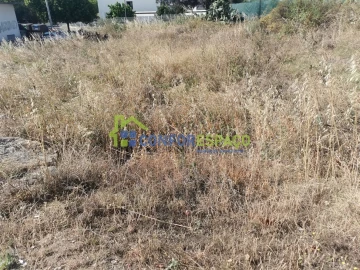 Terreno para Venda em Castelo Branco