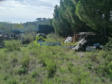 Terreno para Venda em Castelo Branco
