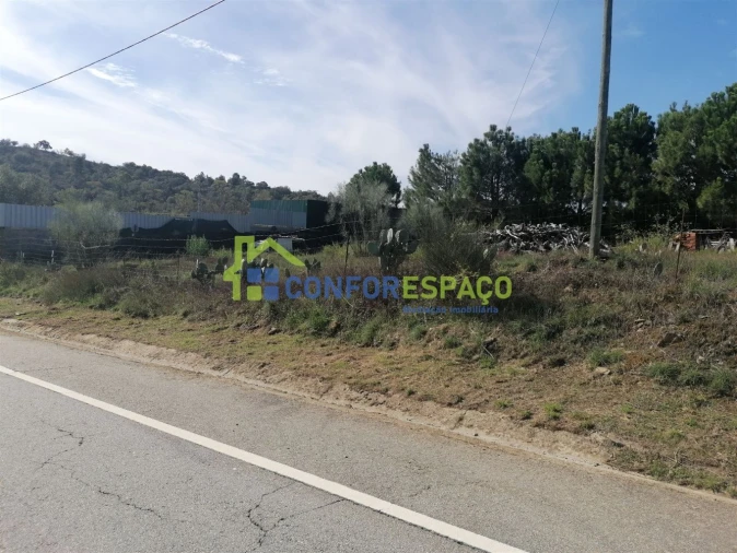 Terreno para Venda em Castelo Branco Foto 6