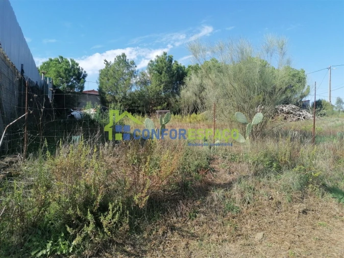 Terreno para Venda em Castelo Branco Foto 7