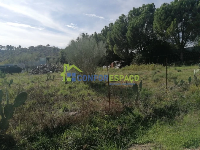 Terreno para Venda em Castelo Branco Foto 4