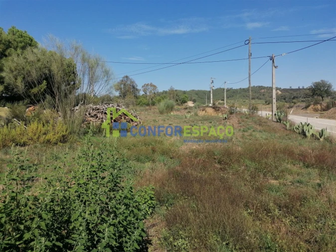 Terreno para Venda em Castelo Branco Foto 12