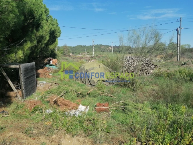 Terreno para Venda em Castelo Branco Foto 14