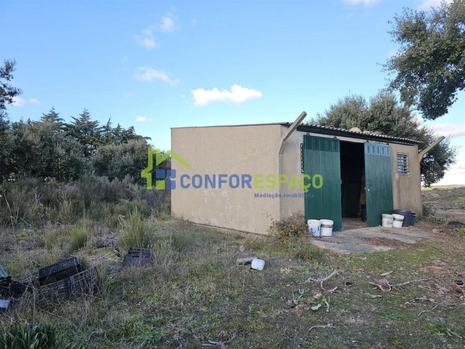 Terreno para Venda em Castelo Branco Foto 2