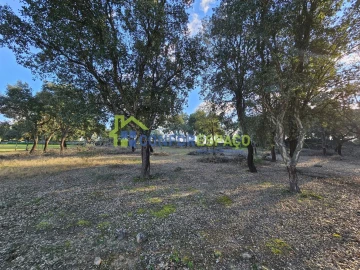 Terreno para Venda em Castelo Branco