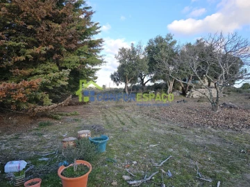 Terreno para Venda em Castelo Branco