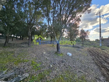 Terreno para Venda em Castelo Branco