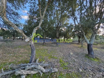 Terreno para Venda em Castelo Branco