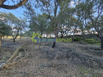 Terreno para Venda em Castelo Branco