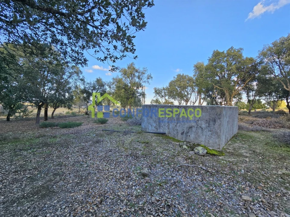 Terreno para Venda em Castelo Branco Foto 23