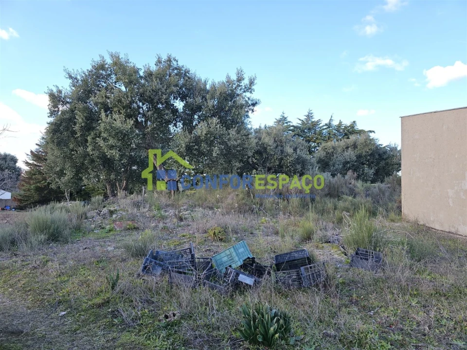 Terreno para Venda em Castelo Branco Foto 37