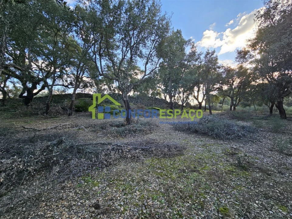Terreno para Venda em Castelo Branco Foto 26