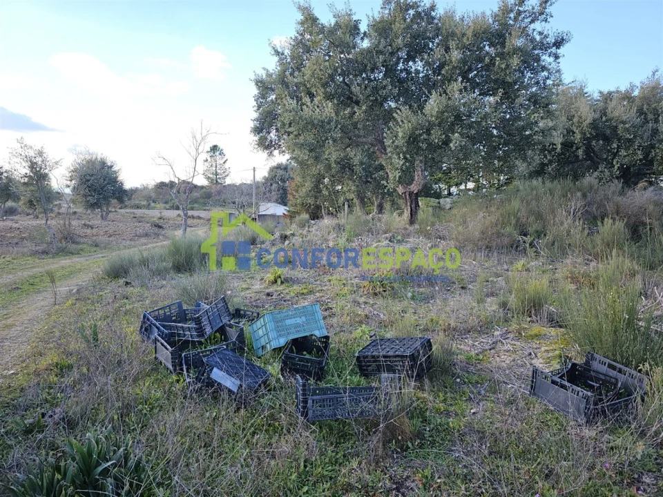 Terreno para Venda em Castelo Branco Foto 6