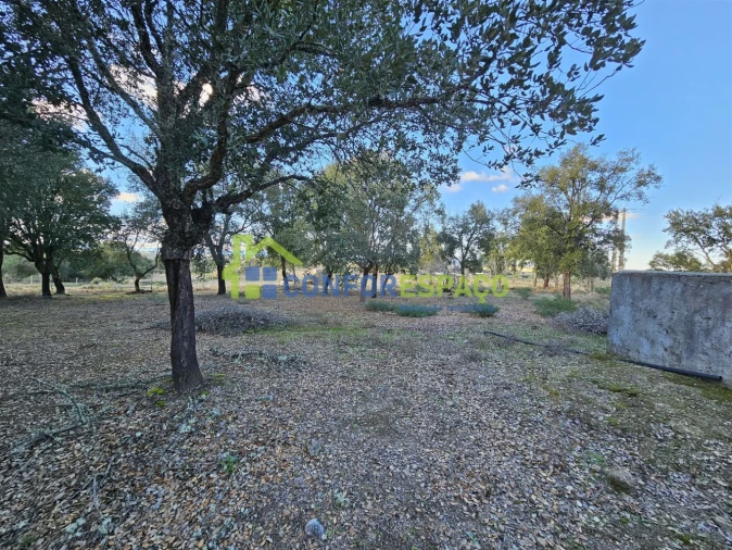 Terreno para Venda em Castelo Branco Foto 24