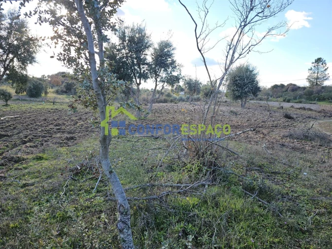 Terreno para Venda em Castelo Branco Foto 9