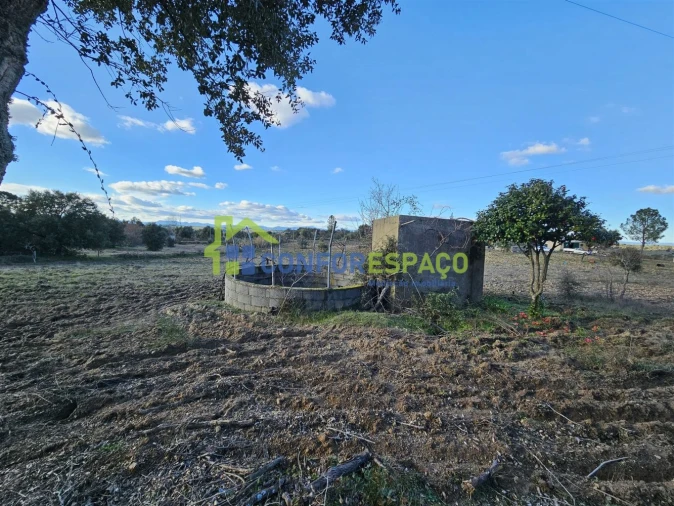 Terreno para Venda em Castelo Branco Foto 14