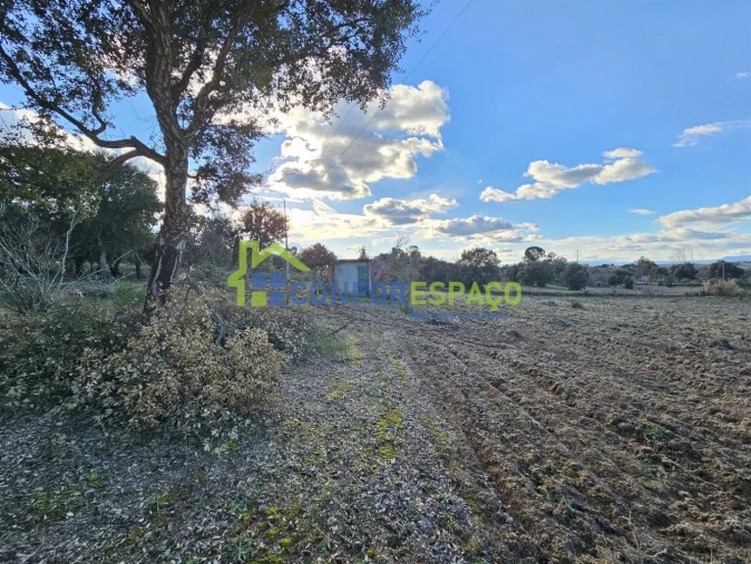 Terreno para Venda em Castelo Branco Foto 12