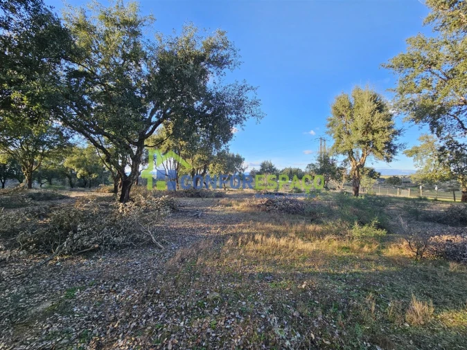 Terreno para Venda em Castelo Branco Foto 34