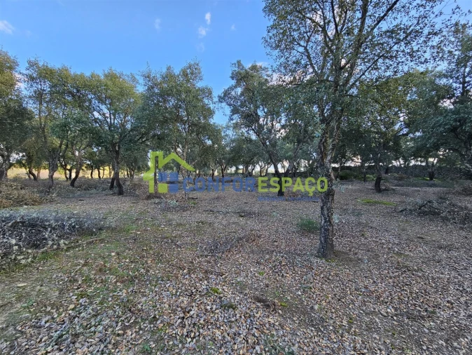 Terreno para Venda em Castelo Branco Foto 22