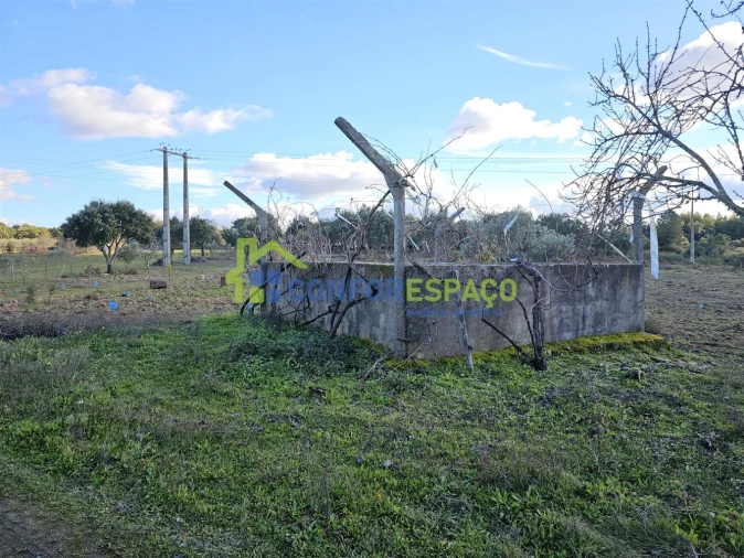 Terreno para Venda em Castelo Branco Foto 7
