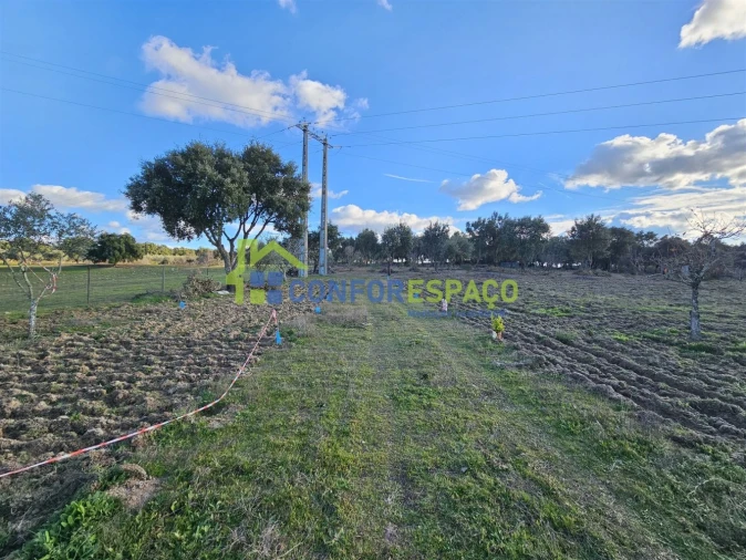 Terreno para Venda em Castelo Branco Foto 10