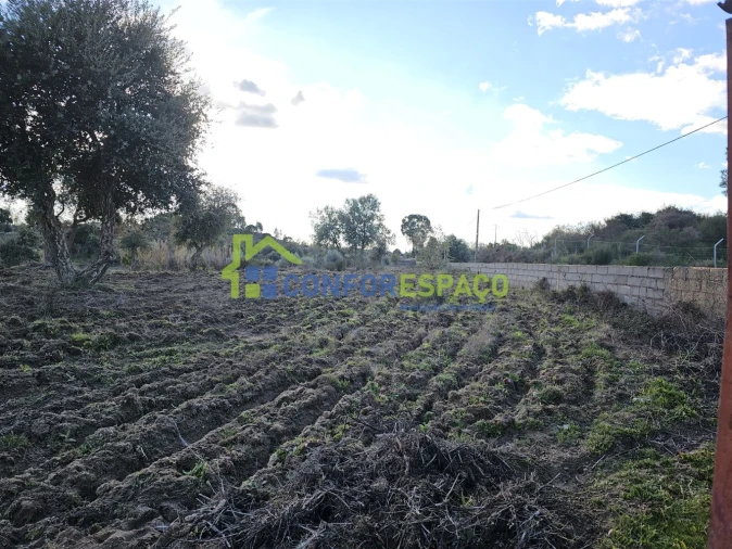 Terreno para Venda em Castelo Branco Foto 39