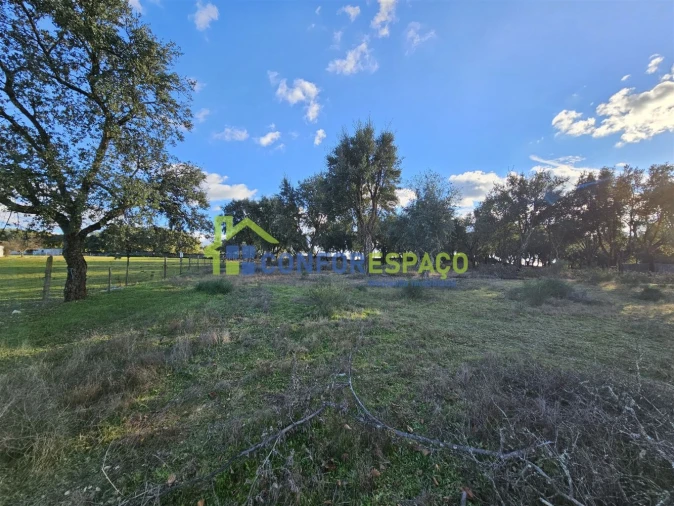 Terreno para Venda em Castelo Branco Foto 35
