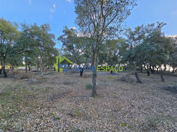 Terreno para Venda em Castelo Branco Foto 21