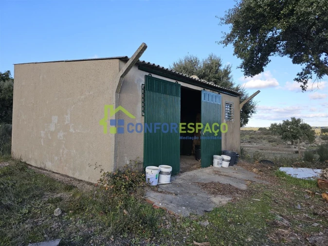 Terreno para Venda em Castelo Branco