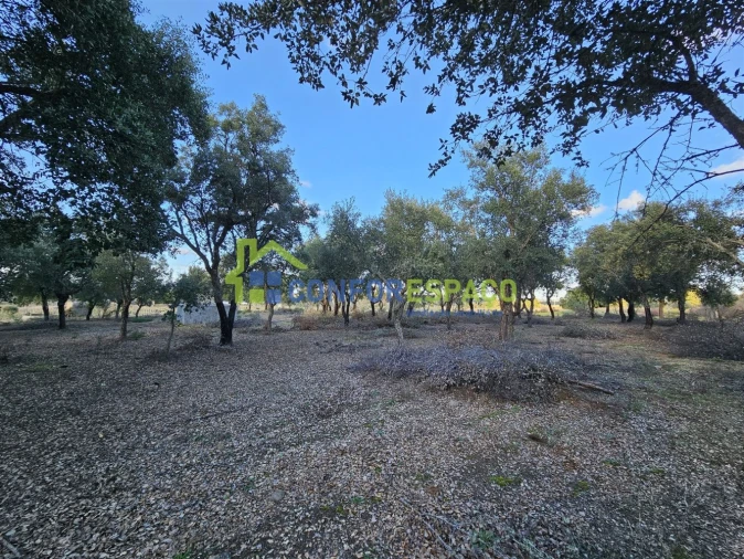Terreno para Venda em Castelo Branco Foto 27