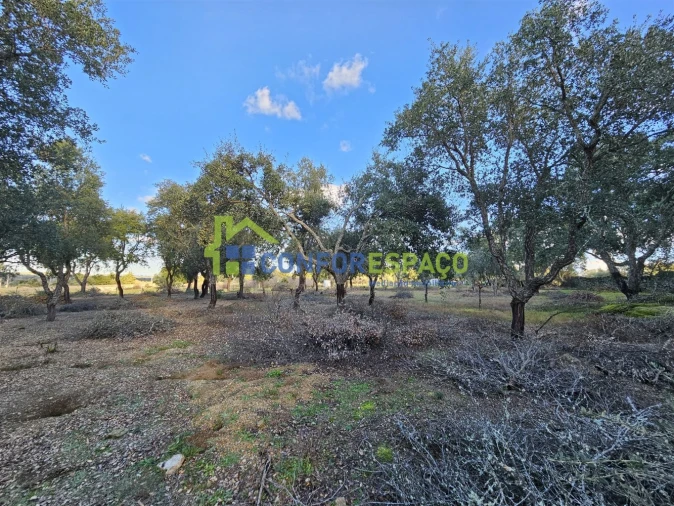 Terreno para Venda em Castelo Branco Foto 28