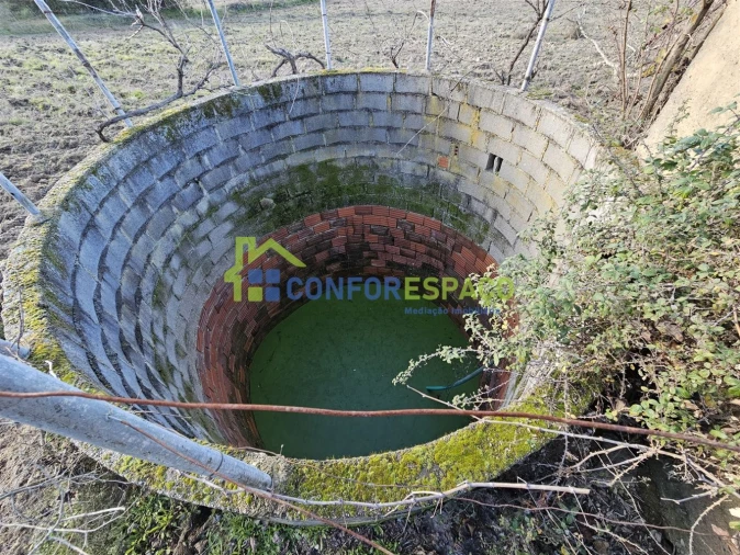 Terreno para Venda em Castelo Branco Foto 13