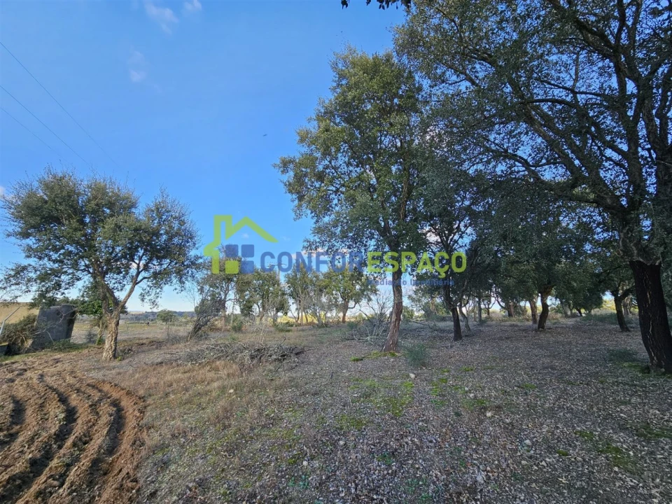 Terreno para Venda em Castelo Branco Foto 16